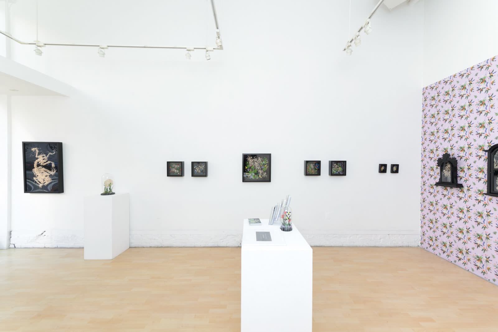 Caitlin McCormack, Esther, 2019