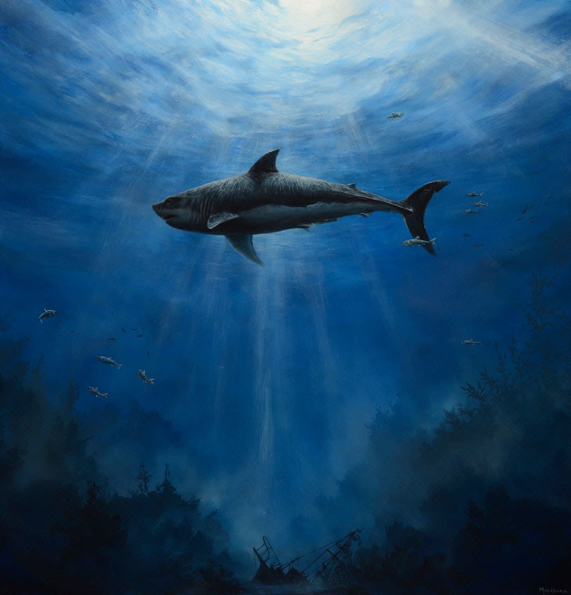 painting of a shark swimming in the depths of the ocean