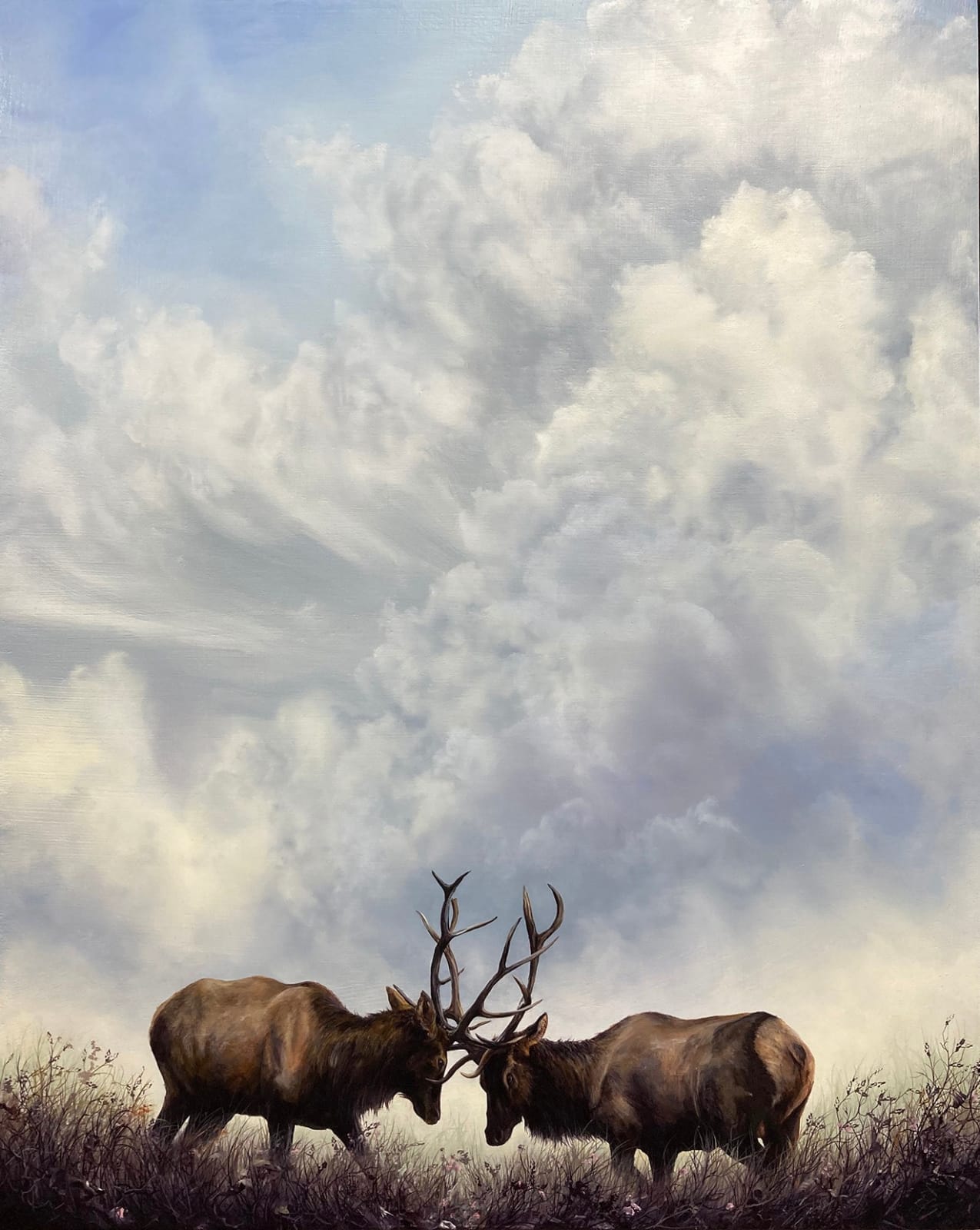 two elks fighting with their antlers under an expansive sky