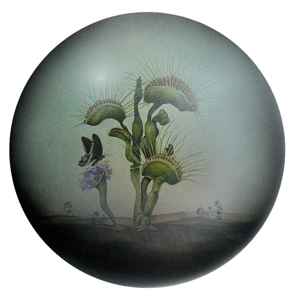 venus fly traps in a dusty barren landscape