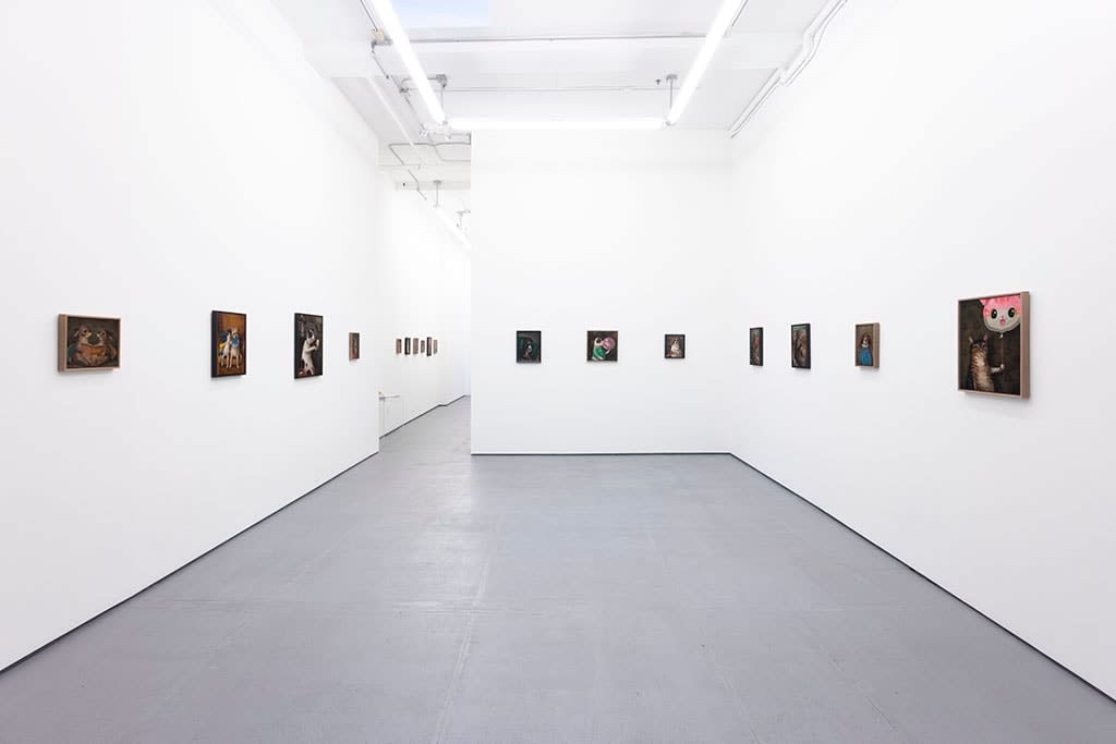 Install photo of Alison Friend's paintings hanging on a white wall