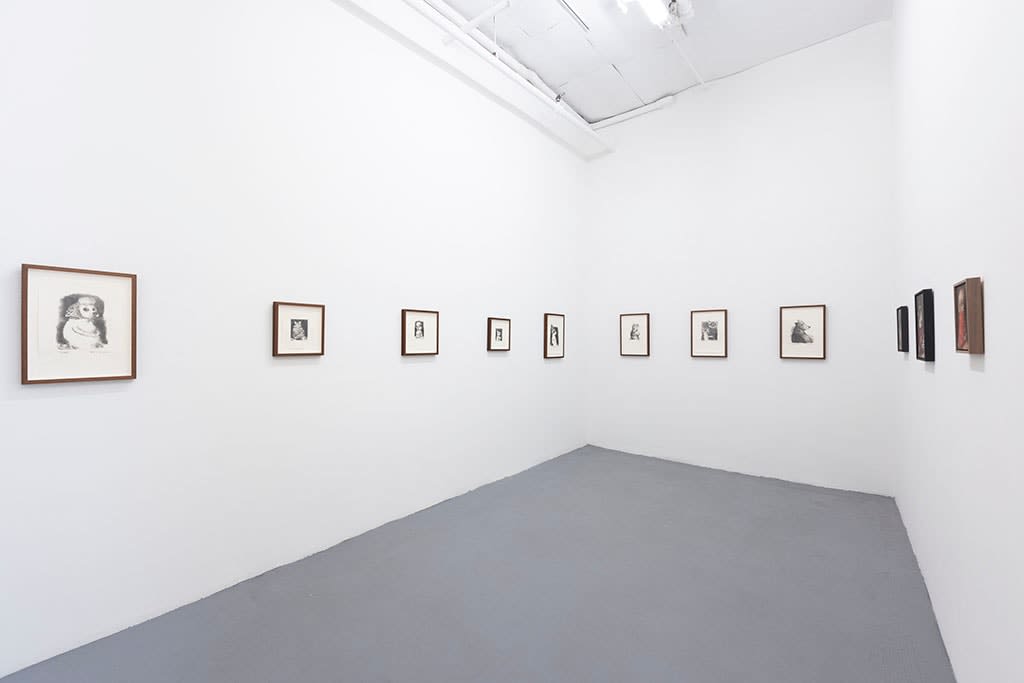 Install photo of Alison Friend's paintings hanging on a white wall