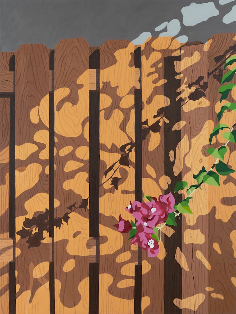 Natalia Juncadella painting of wooden fence with shadows cast over it and orchid