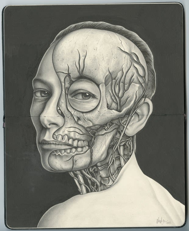 Drawing of a bald person looking over their bare shoulder with half of their face revealing their veins and skull