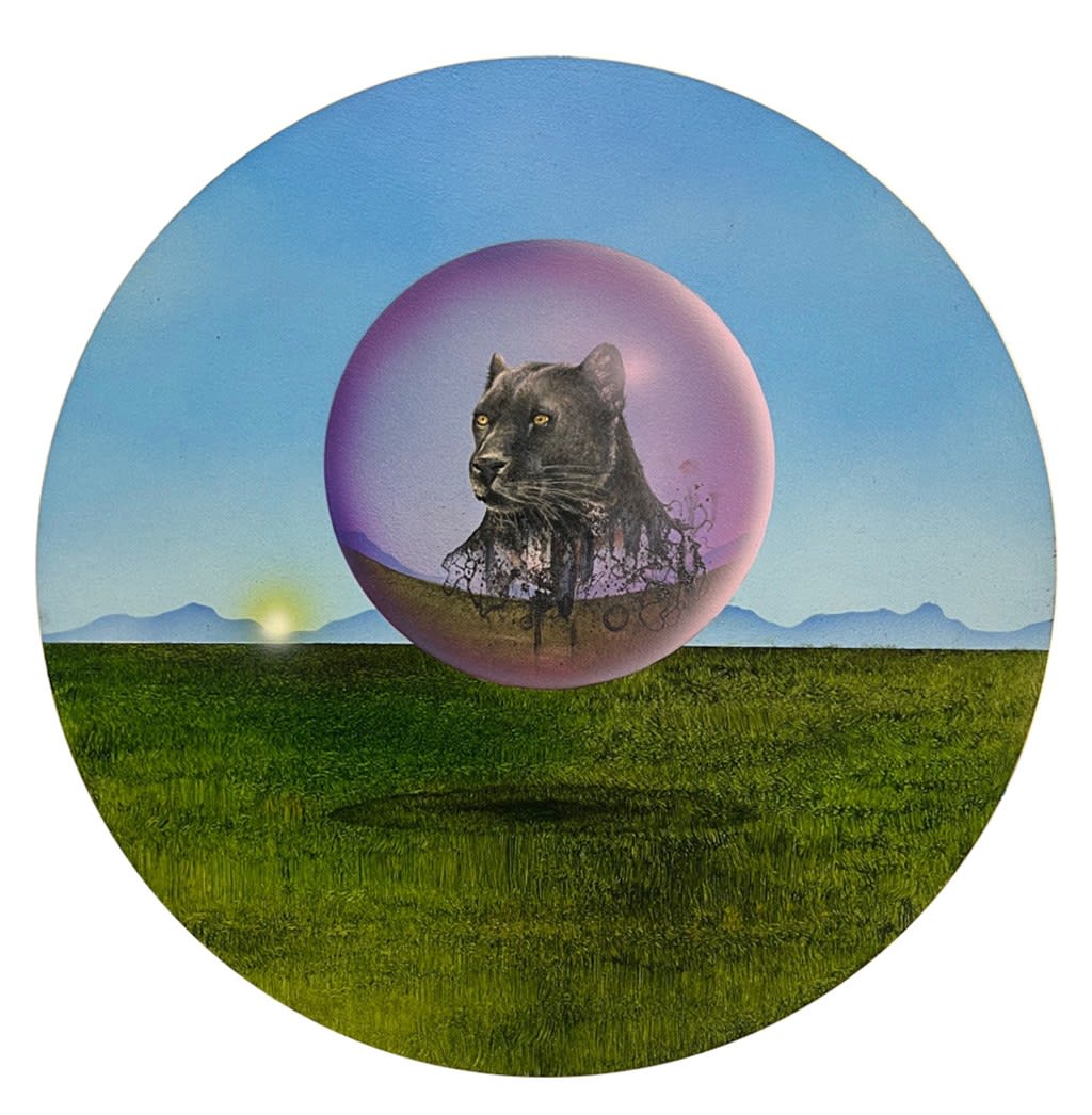 panther in a bubble floating above green grass