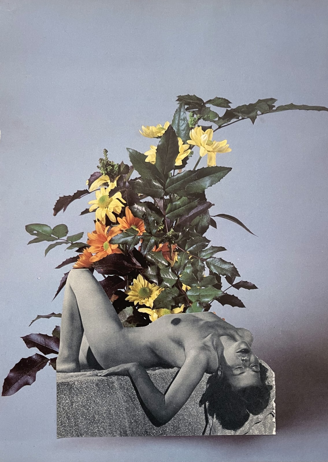 Lia Rochas-Pàris, Frauenstrauss n°9