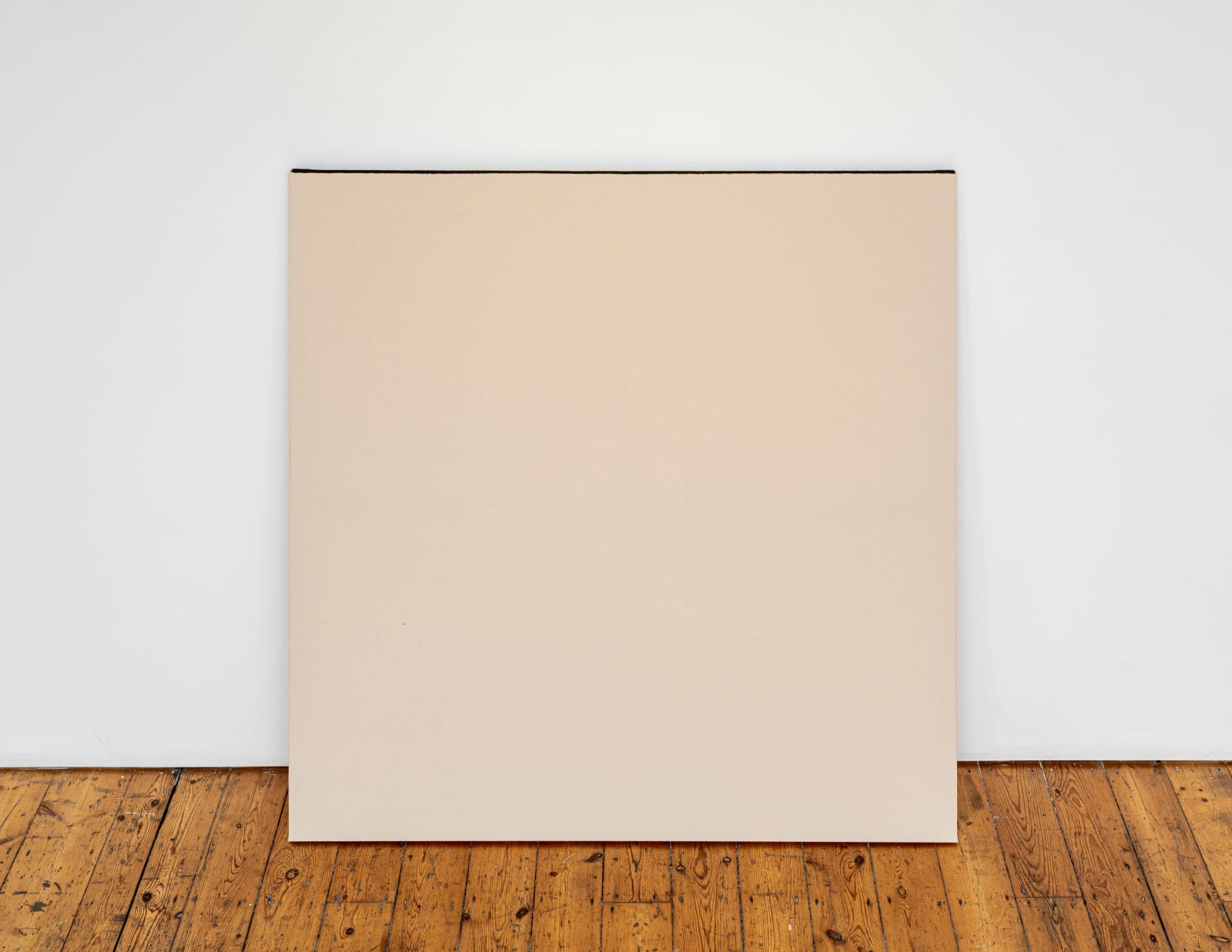 Renato Leotta, Eruzione, 2024