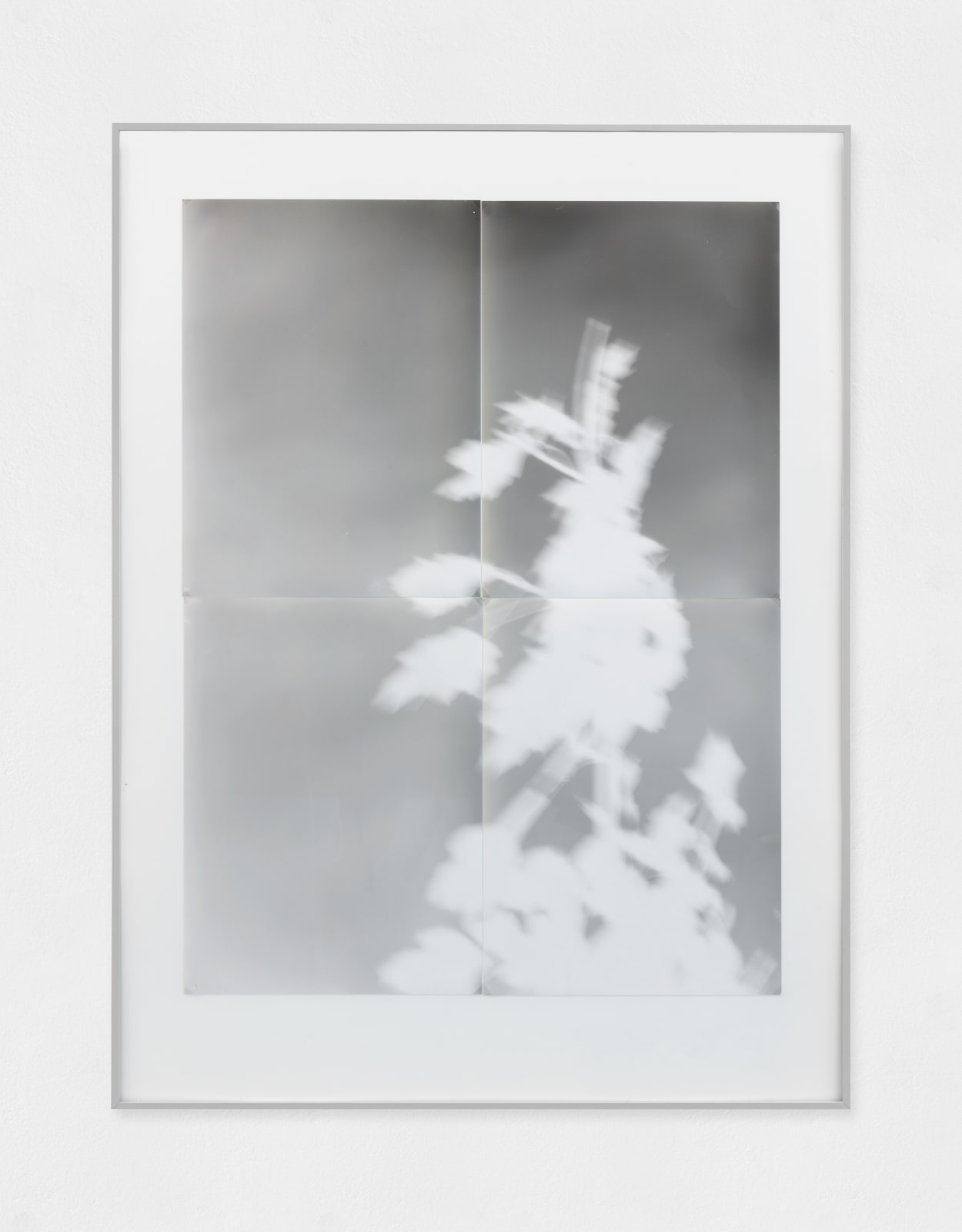 Giorgio Andreotta Calò, 08.09.2012 - 21.10.2012, 2013