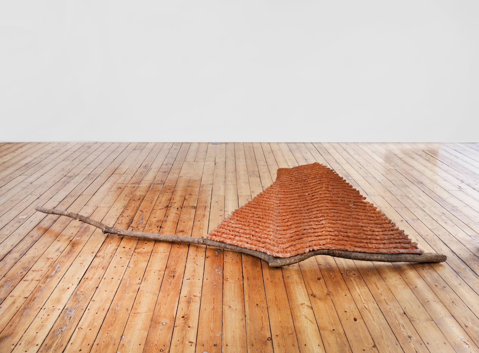 Giuseppe Penone, Struttura del tempo (Structure of time), 1992
