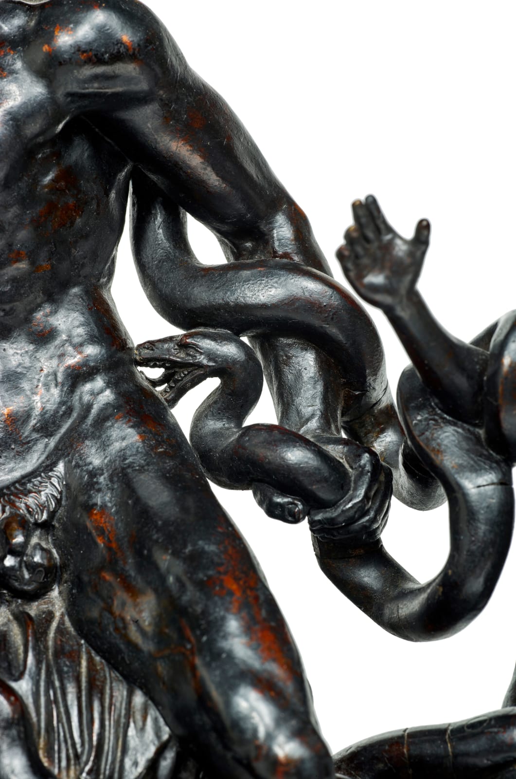 Giacomo Zoffoli, Laocoön and his Sons/ Laocoon et ses fils, 1775-1785