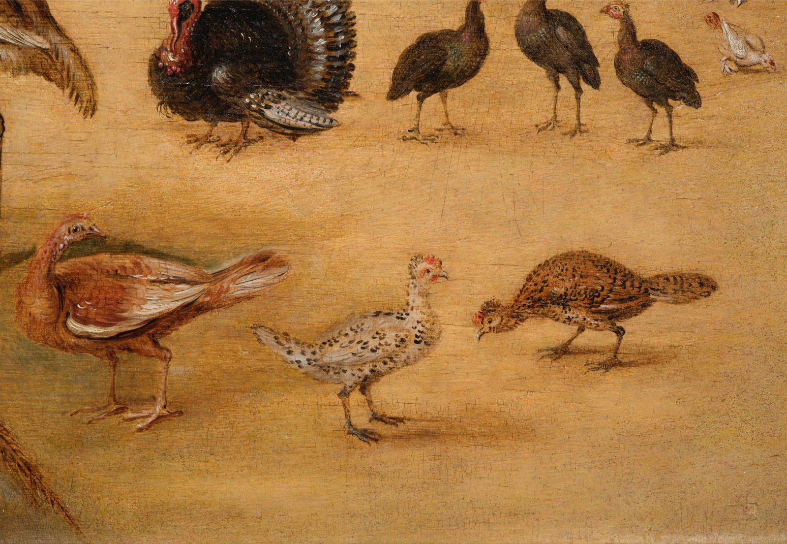 Jan Brueghel the Younger, (workshop of) Bird study/ (atelier de) Etude d'oiseaux, 1626