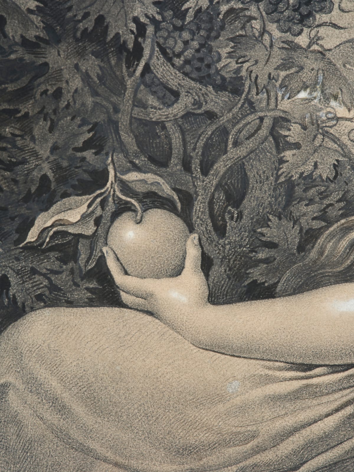 Anne-Louis Girodet de Roussy-Trioson, L'Hespéride (Portrait of Mademoiselle Marie Anne Géromine Lefèbvre de Revel), 1793/ L’Hespéride (Portrait de Mademoiselle Marie Anne Jeanne Géromine Lefèbvre de Revel), 1793