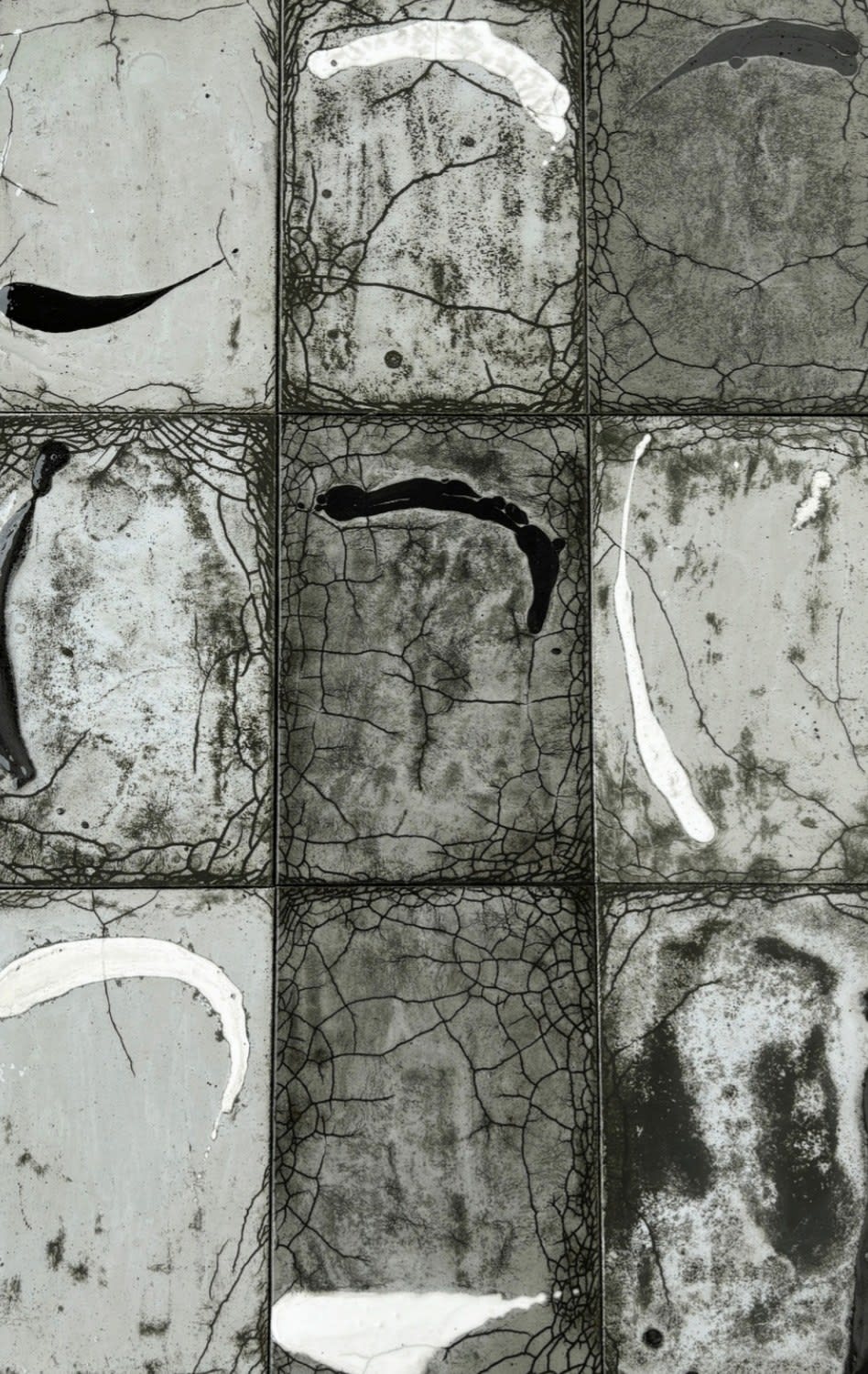 Alpana Vij, Terra - 2, 2024