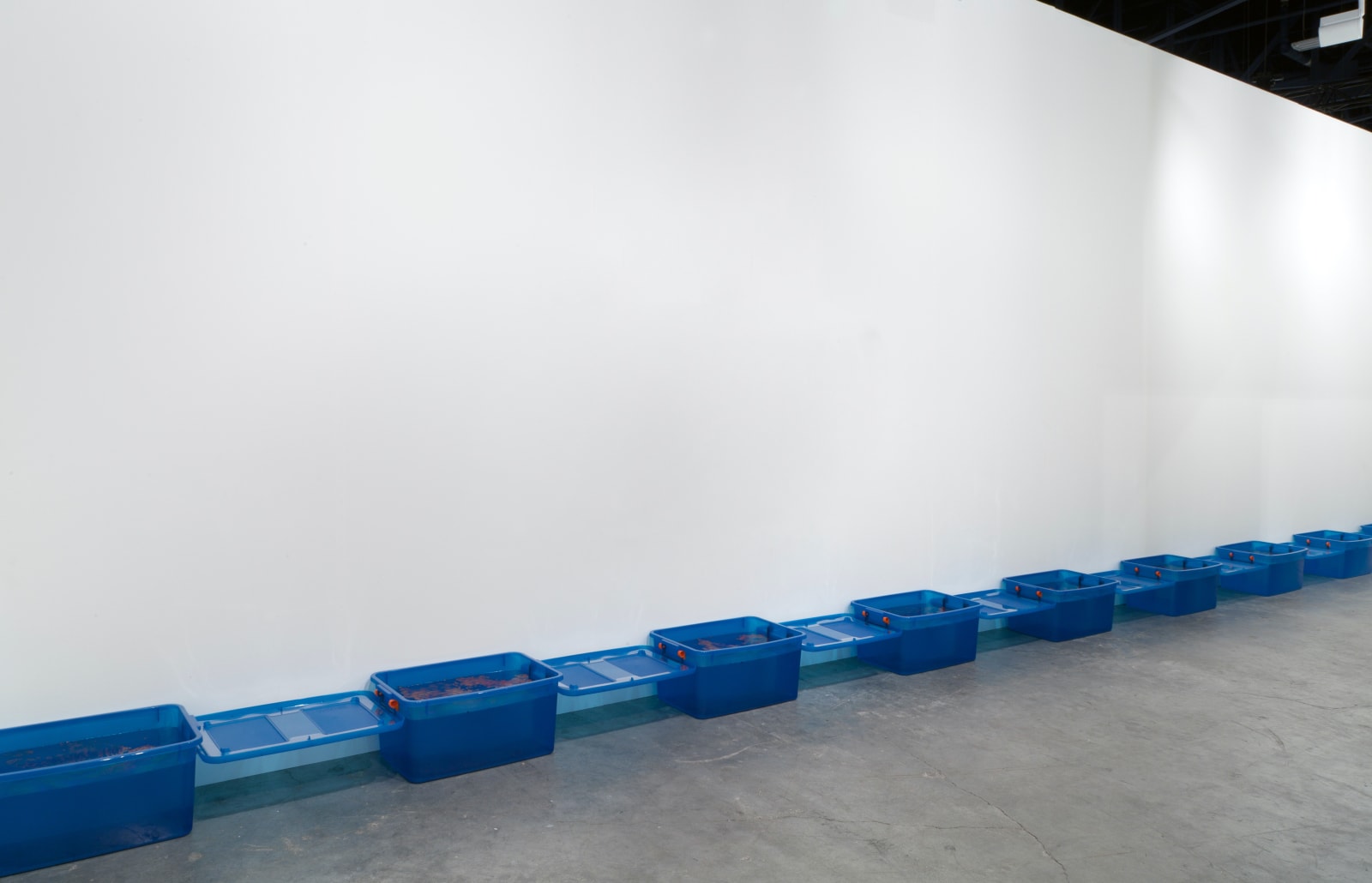 Chadwick Rantanen, Untitled (Bin #5), 2013
