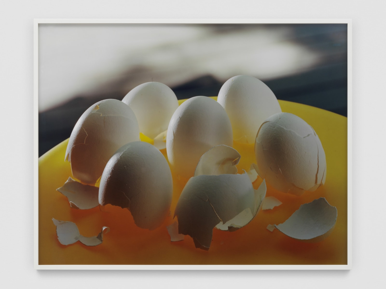 Torbjørn Rødland, Stolen Shells, 2022