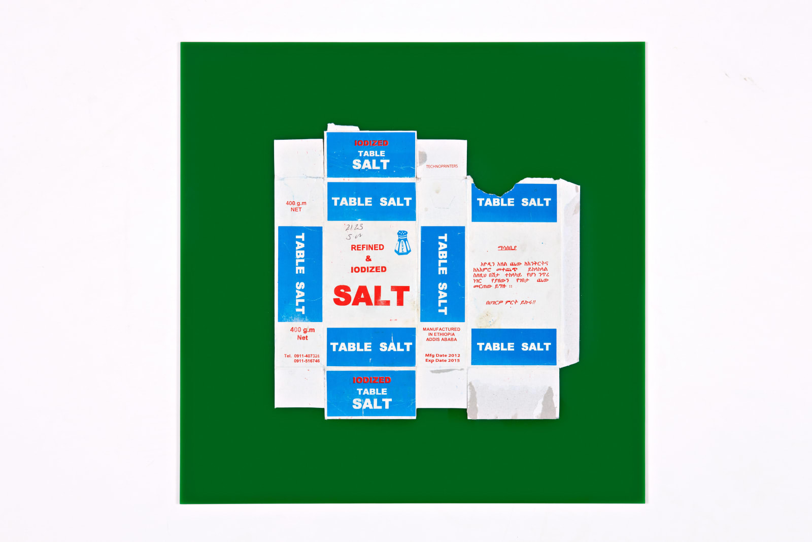 Michaela Meise, Salt, 2013