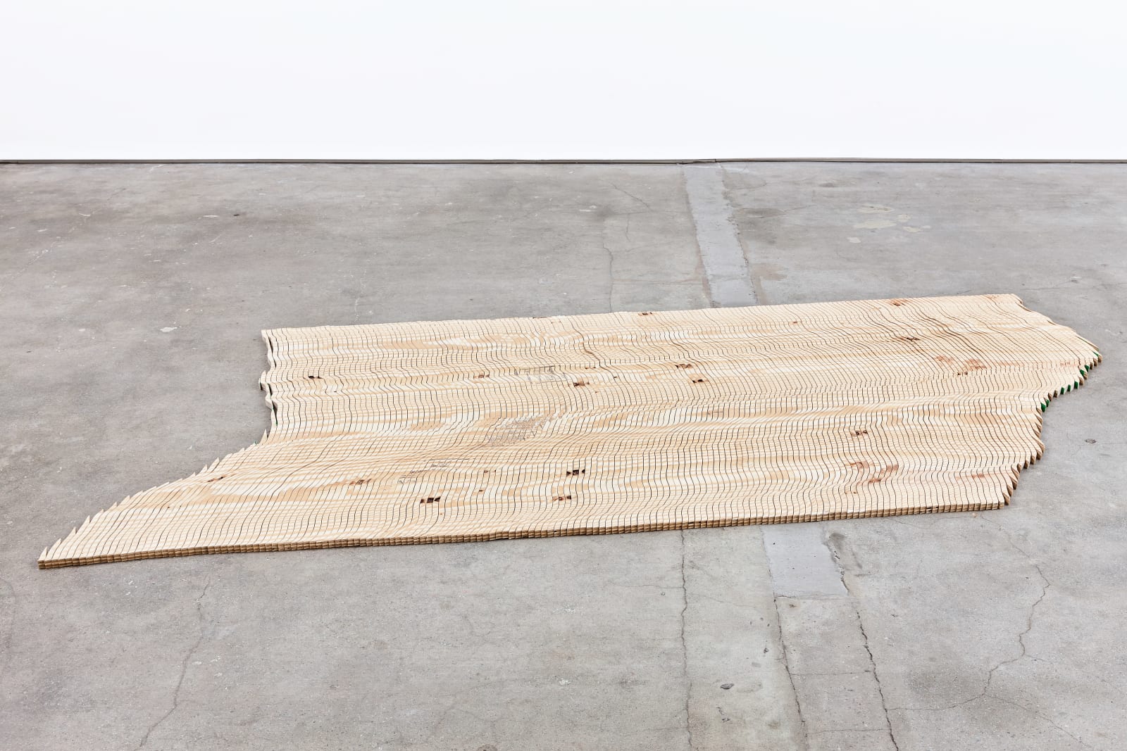 Tauba Auerbach, The New Ambidextrous Universe I, 2013