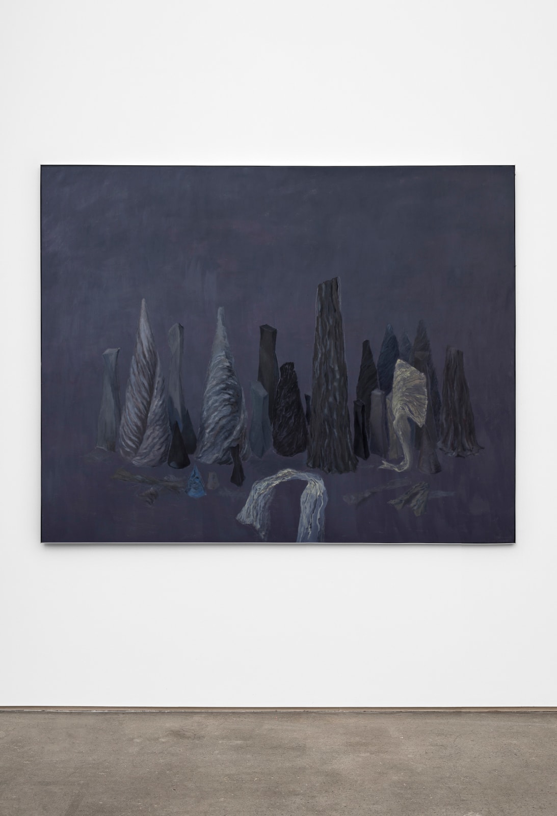 Simona Runcan, Conviețuiri silențioase / Silent Cohabitations, 2005-2007