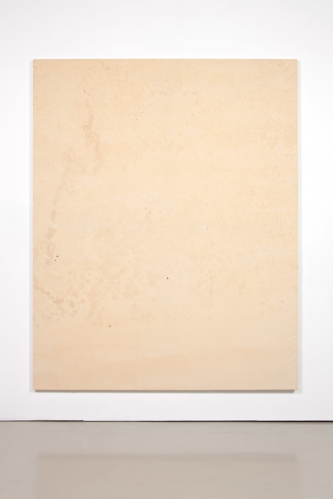 Fredrik Værslev, Untitled (Canopy Painting: Beige Monochrome), 2012