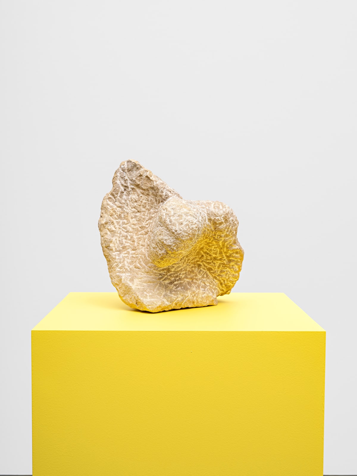 Michaela Meise, Angelus Harpyie, 2019