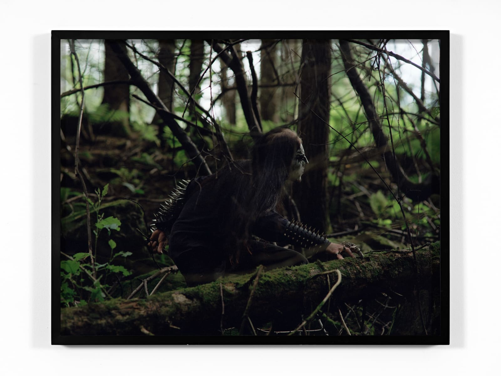 Torbjørn Rødland, Frost no. 2, 2001