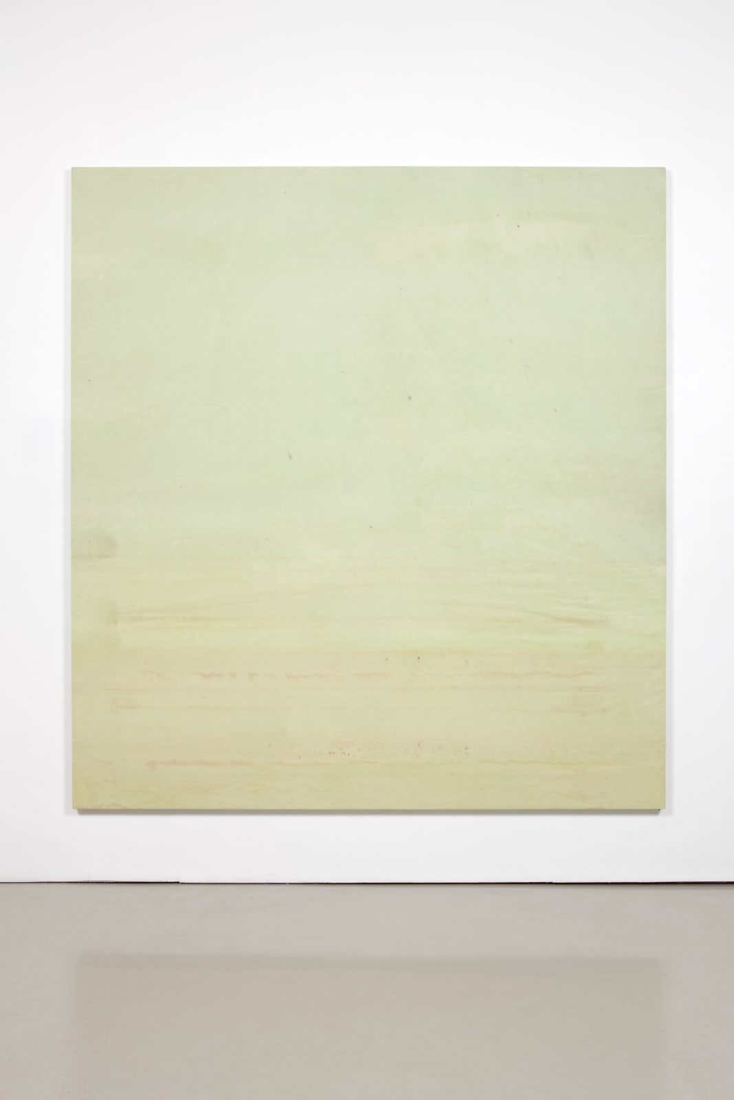 Fredrik Værslev, Untitled (Canopy Painting: Light Green Monochrome), 2012