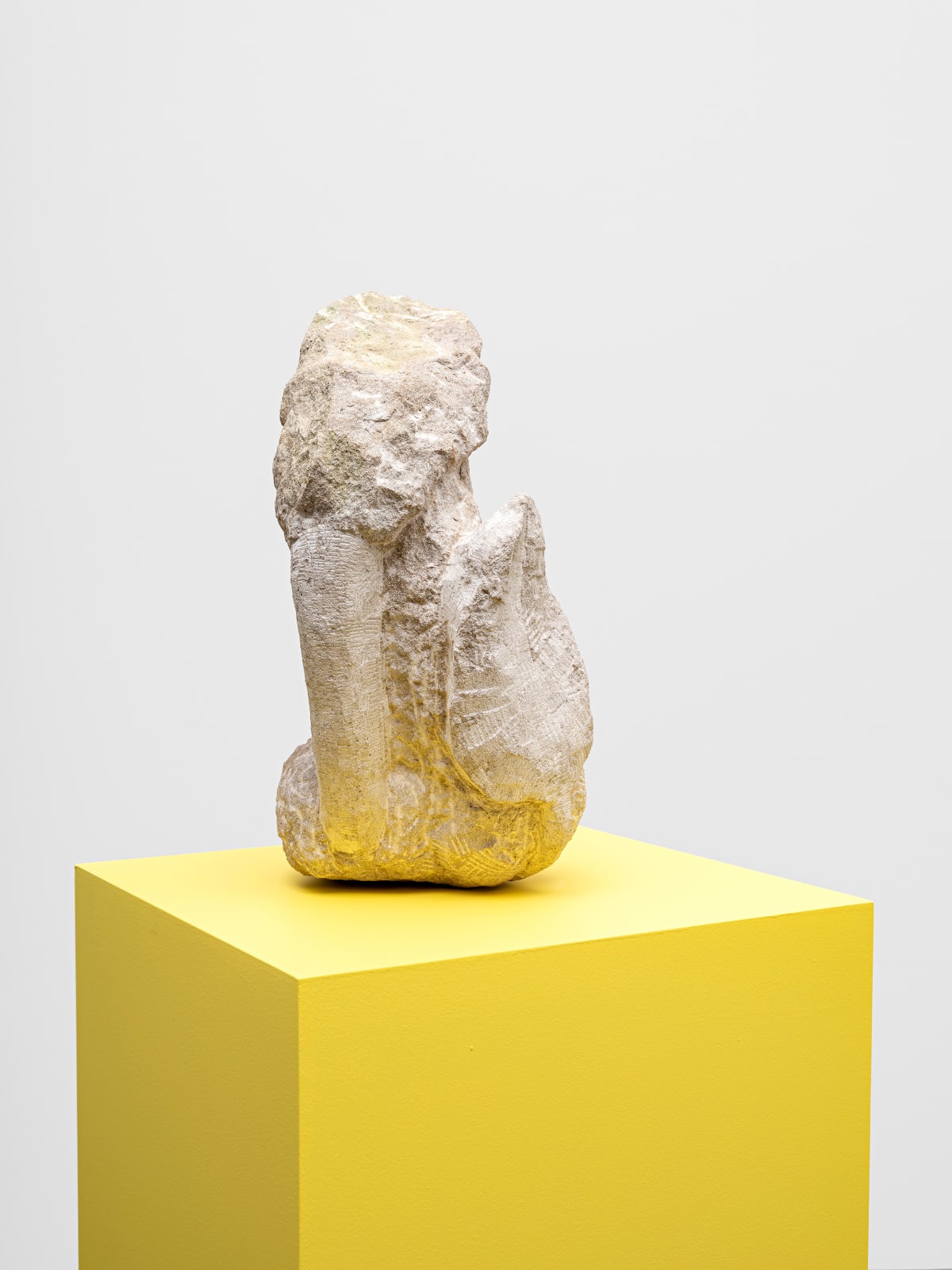 Michaela Meise, Sprouts, 2021