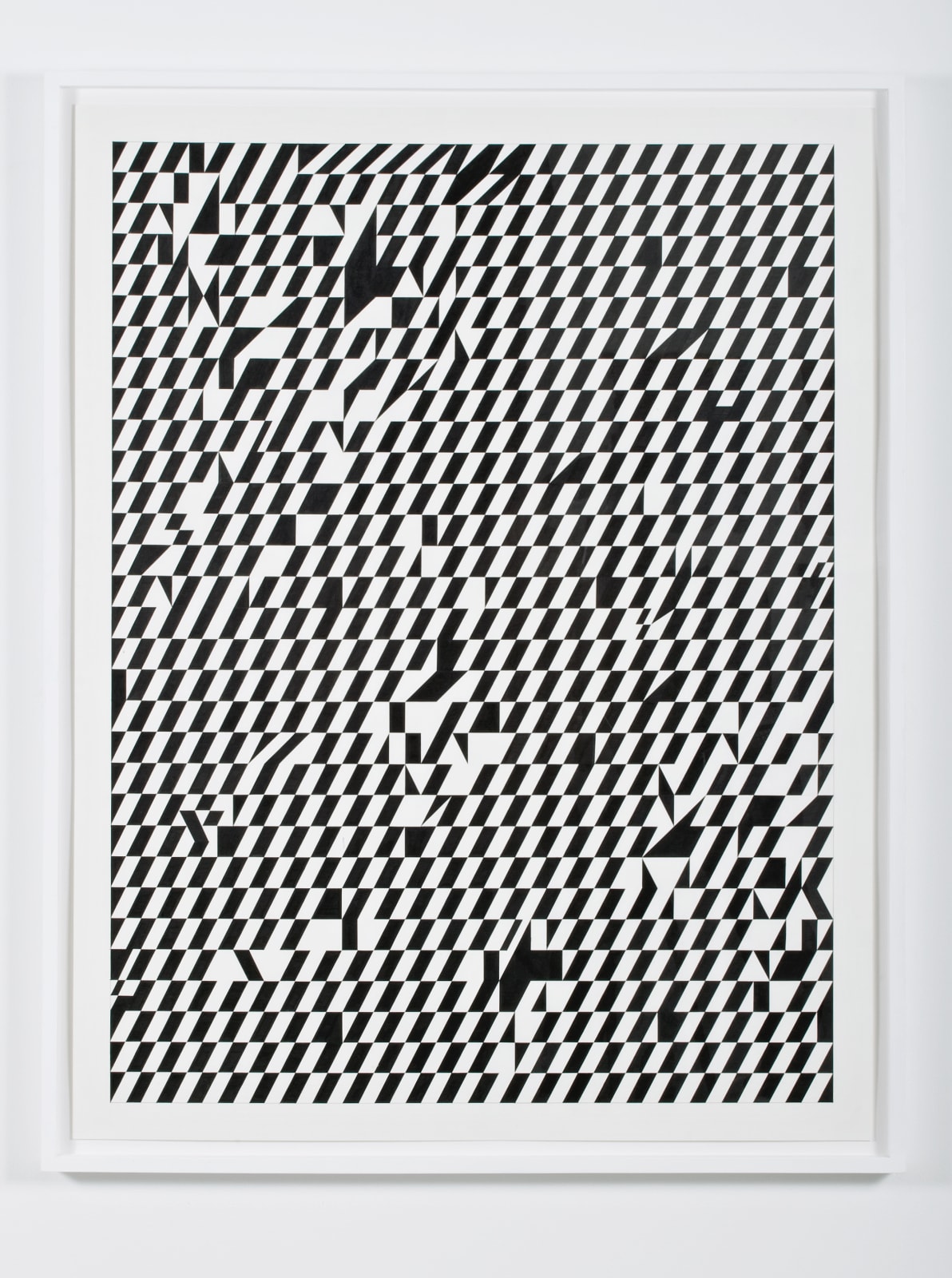 Tauba Auerbach, 50/50 VIII, 2007