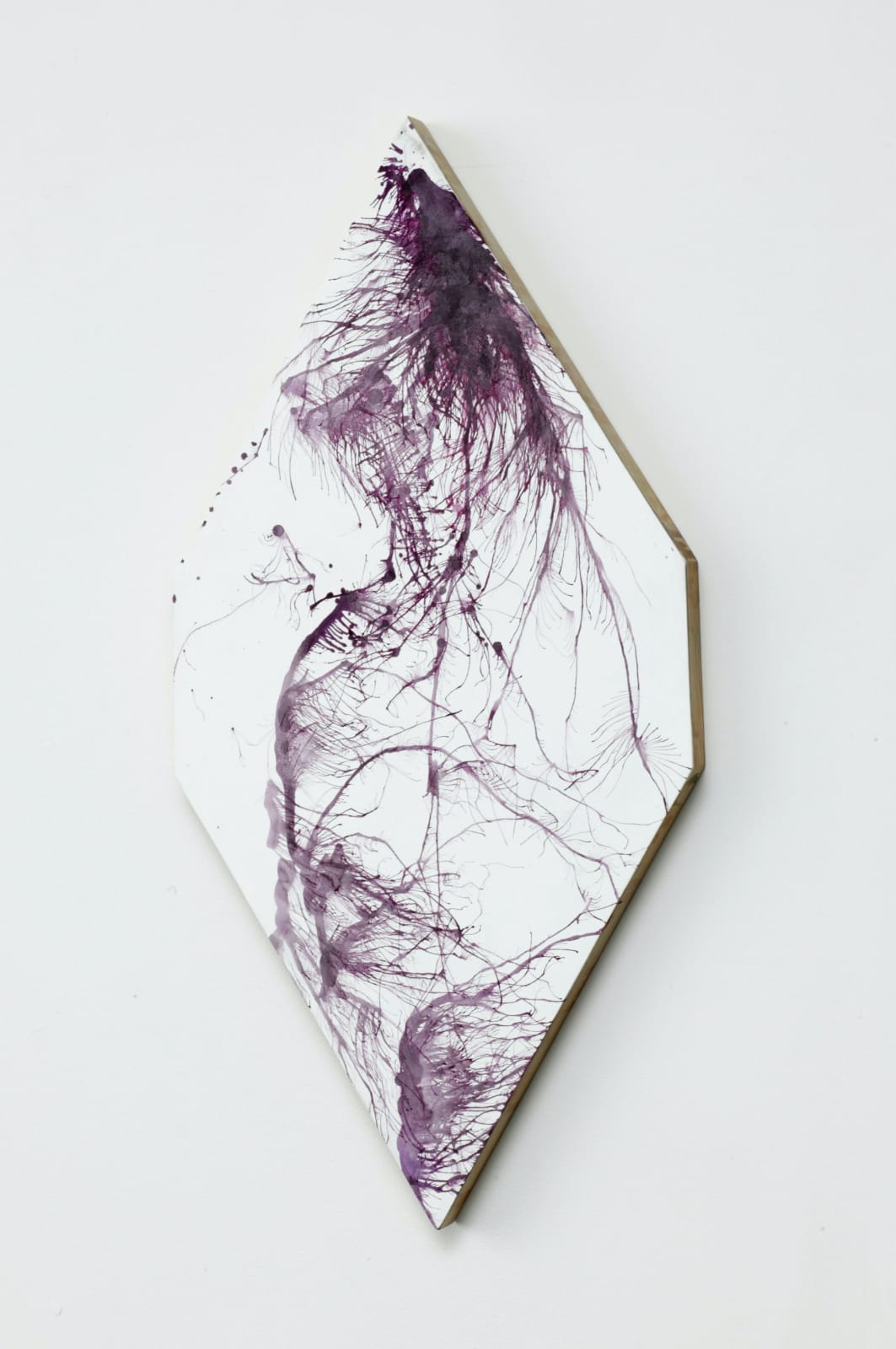 Pae White, Ein Anstrich Gebildet aus Wanzenkörpern, 2006