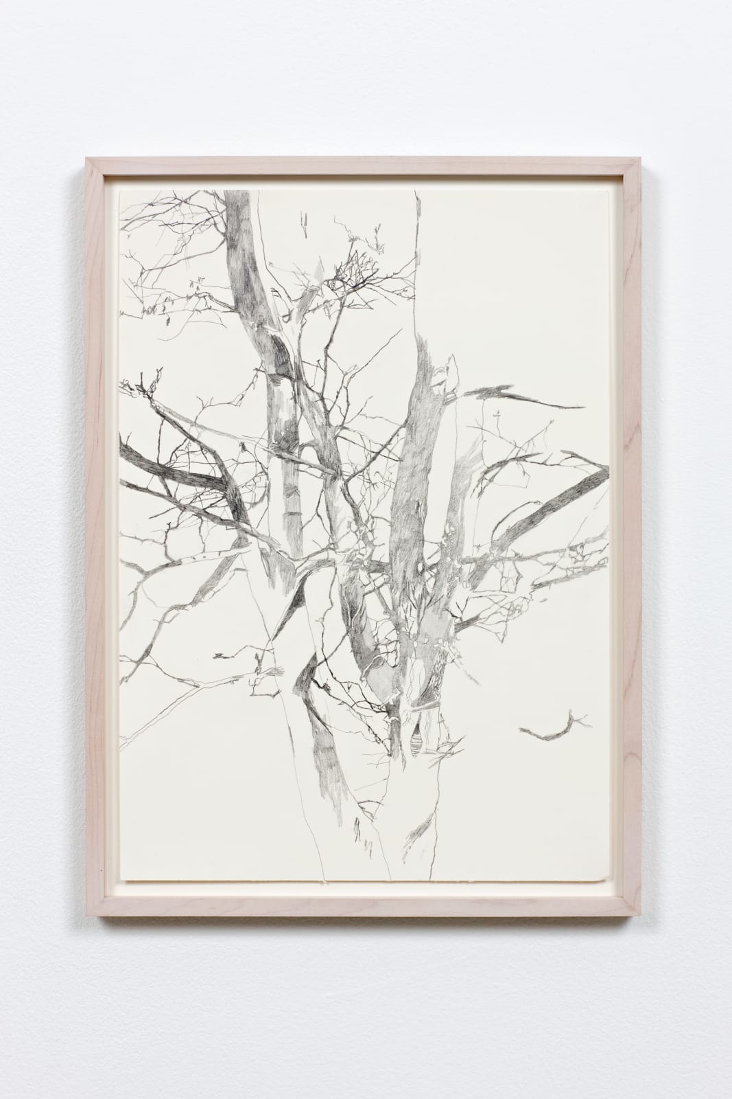 Kim Hiorthøy, Untitled, 2005