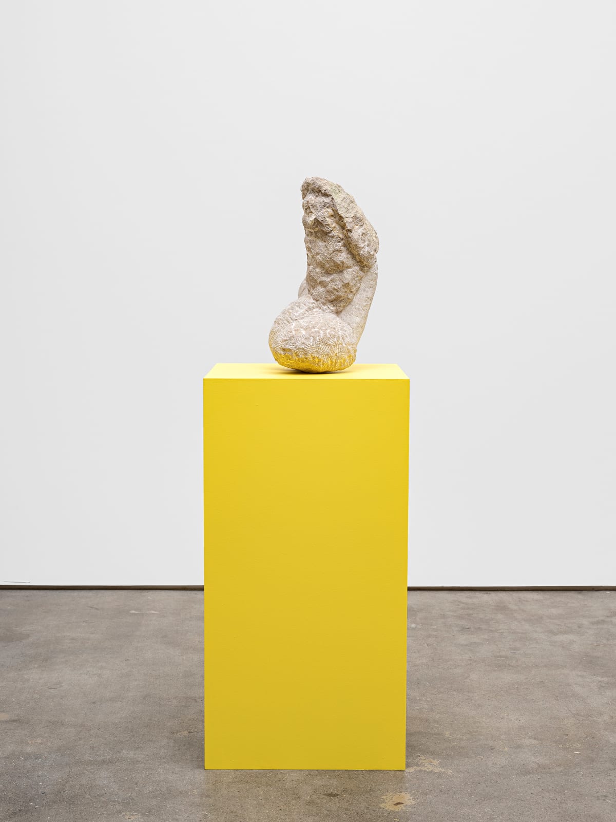 Michaela Meise, Sprouts, 2021