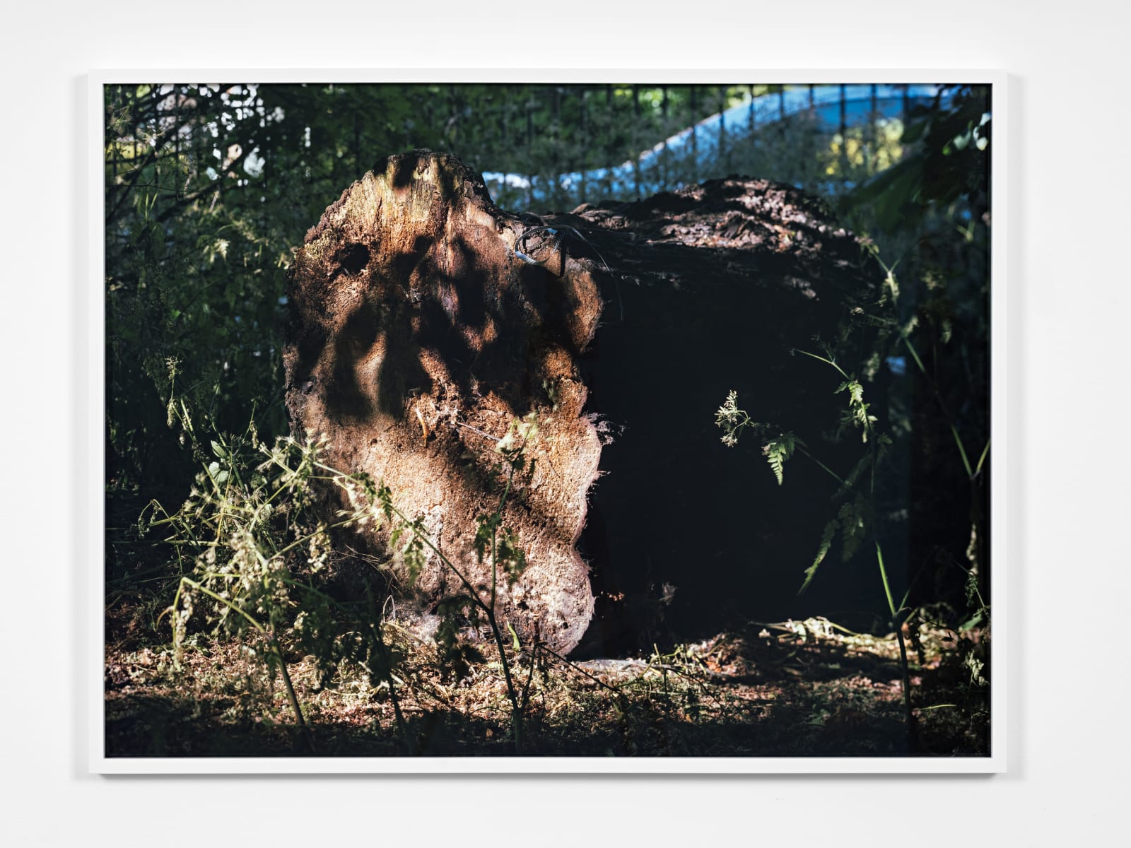 Torbjørn Rødland, Moksha, 2020