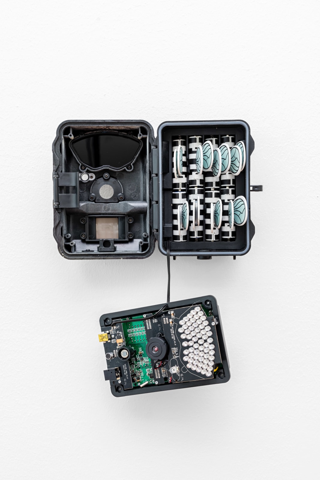 Chadwick Rantanen, Truth Cam (White Fly), 2016