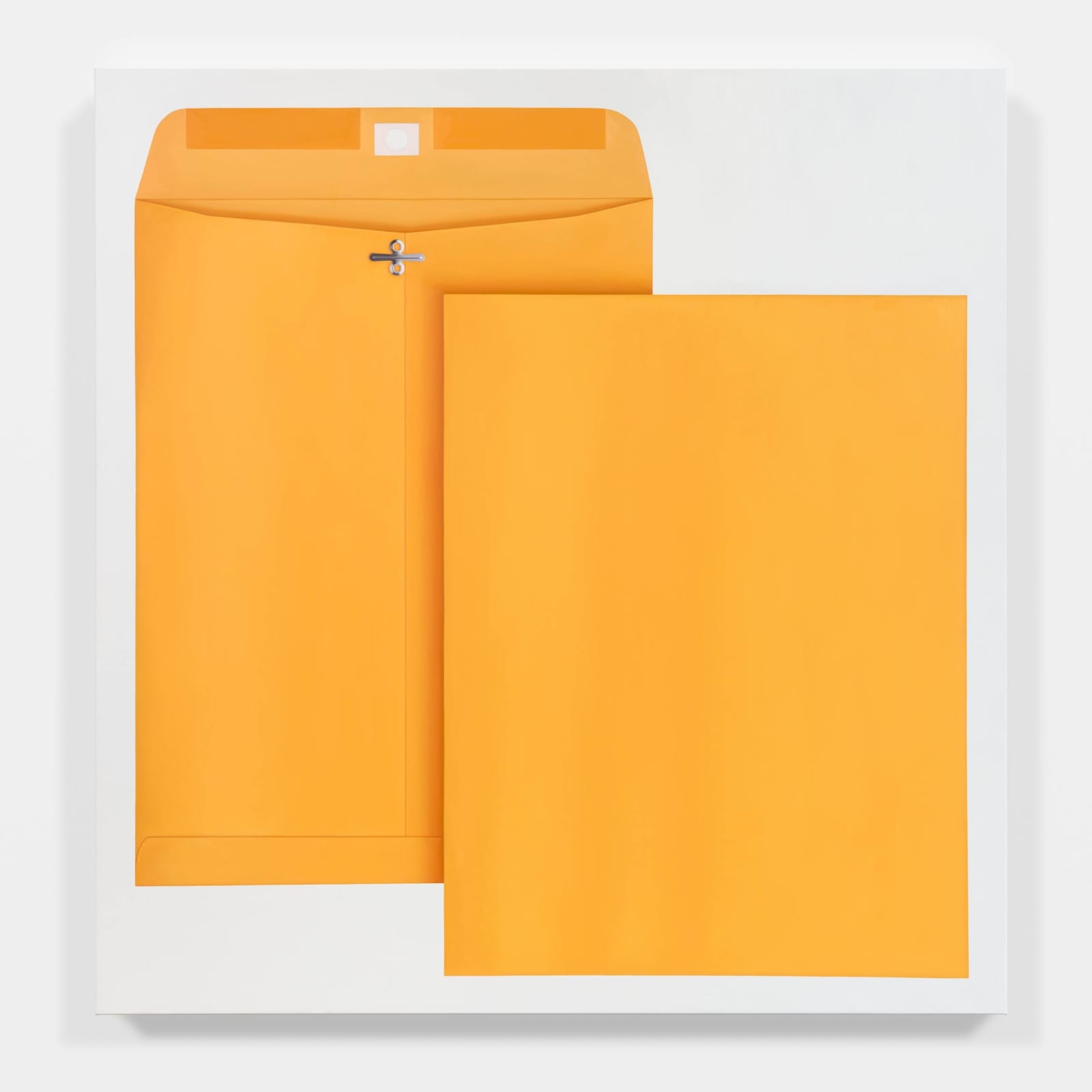 Mathew Cerletty, Manilla Envelopes, 2020