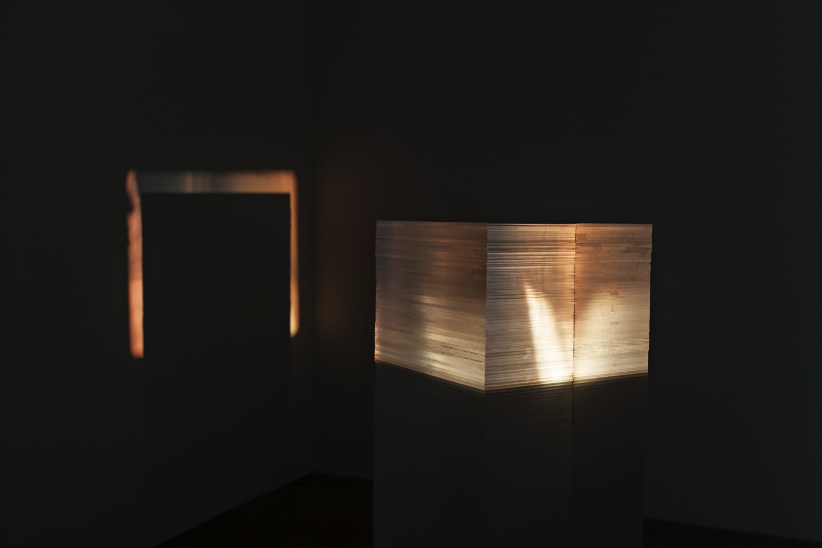 Luke Fowler/ Toshiya Tsunoda, Leader As Gutter, 2013