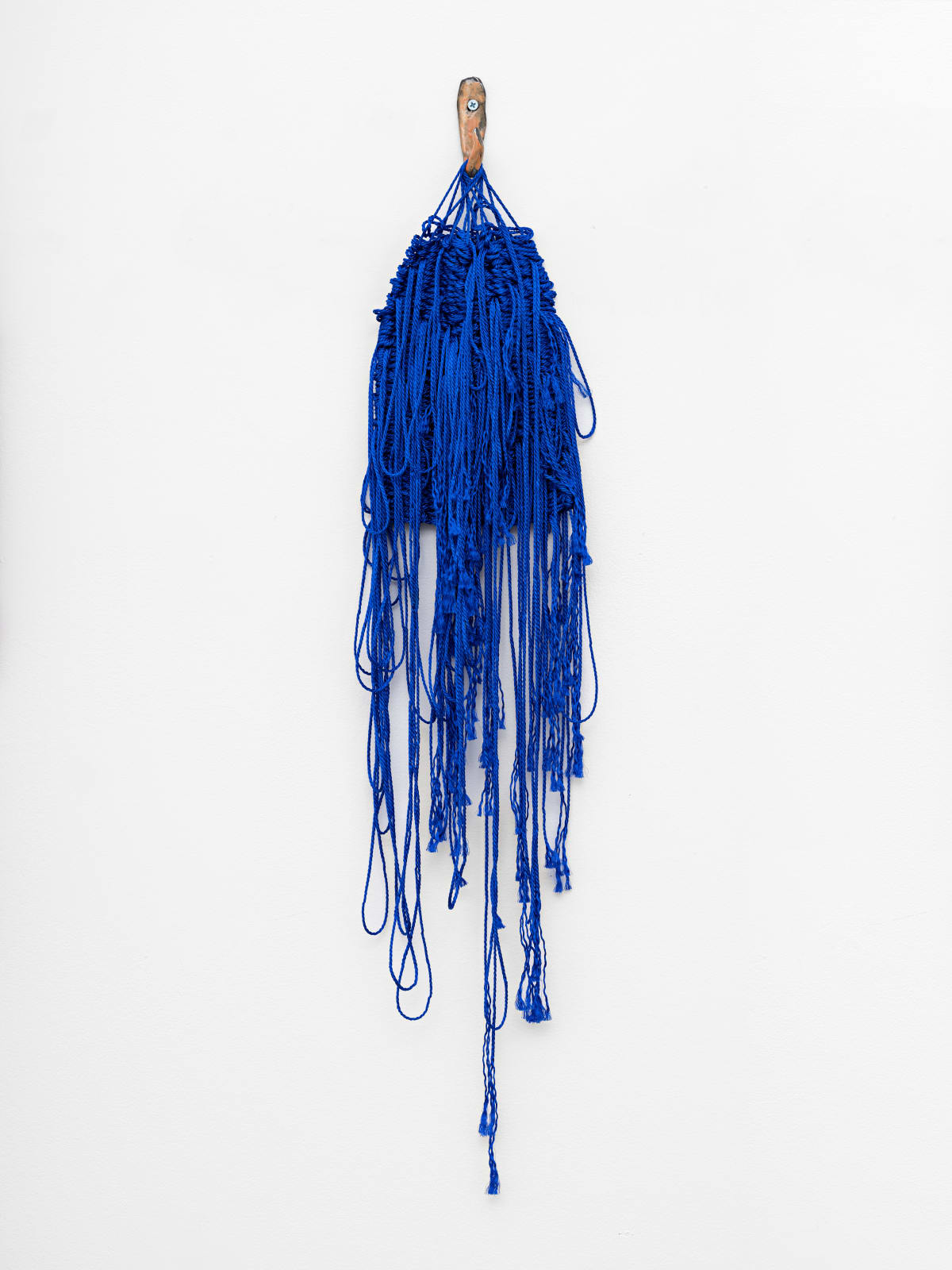 Ann Cathrin November Høibo, Hvis verden spør, så er svaret nei #11, 2020