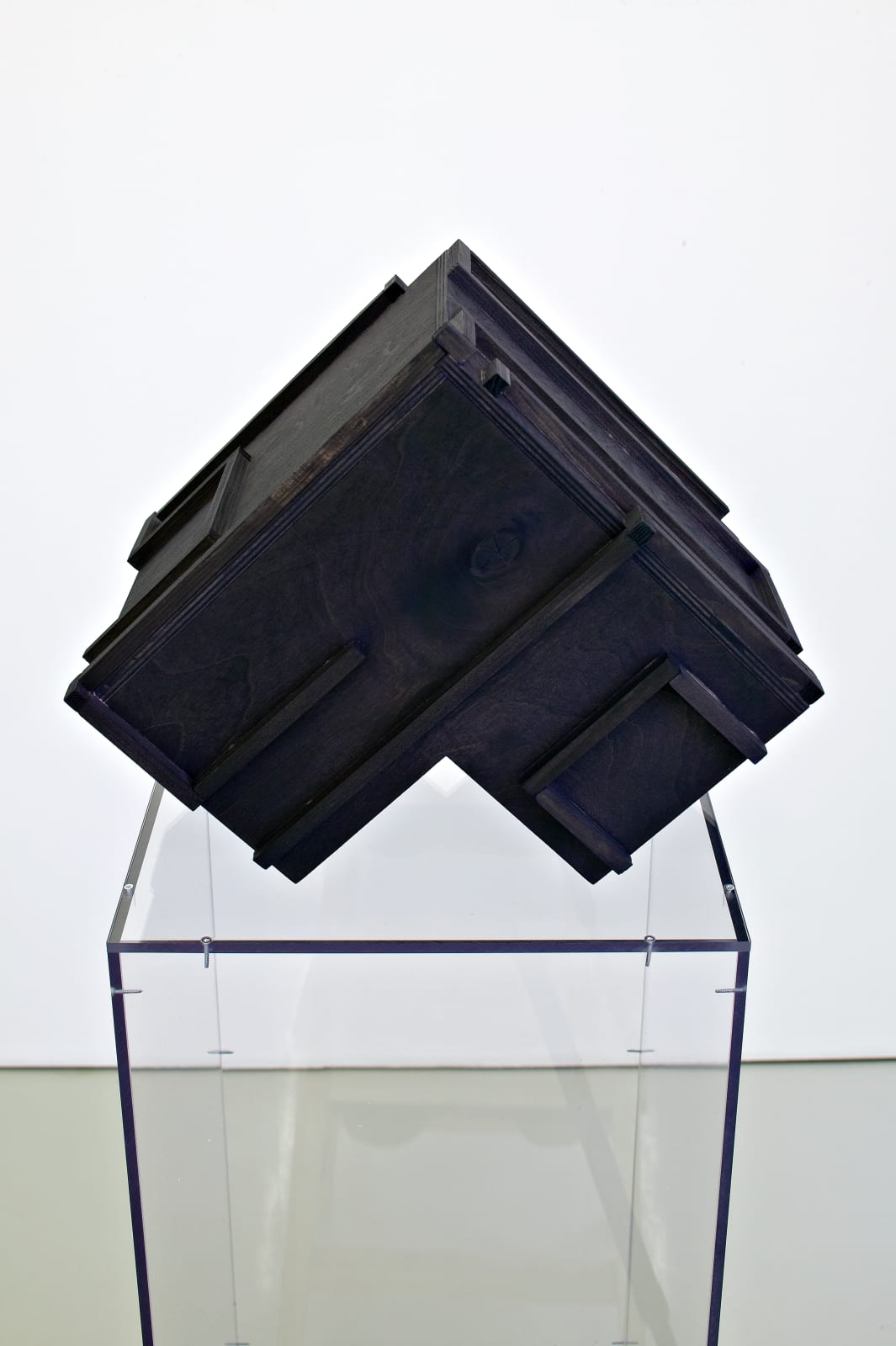 Michaela Meise, Tinted Brain #1, 2007