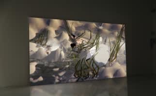 Ian Cheng, Droning Like a Ur, 2014