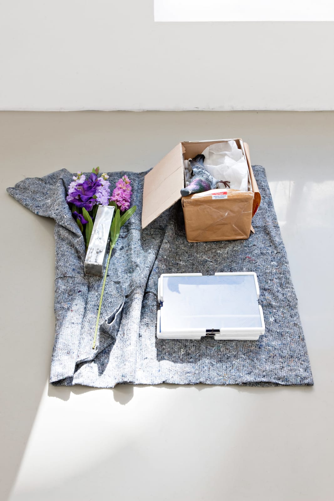 Anders Nordby, Untitled, 2012