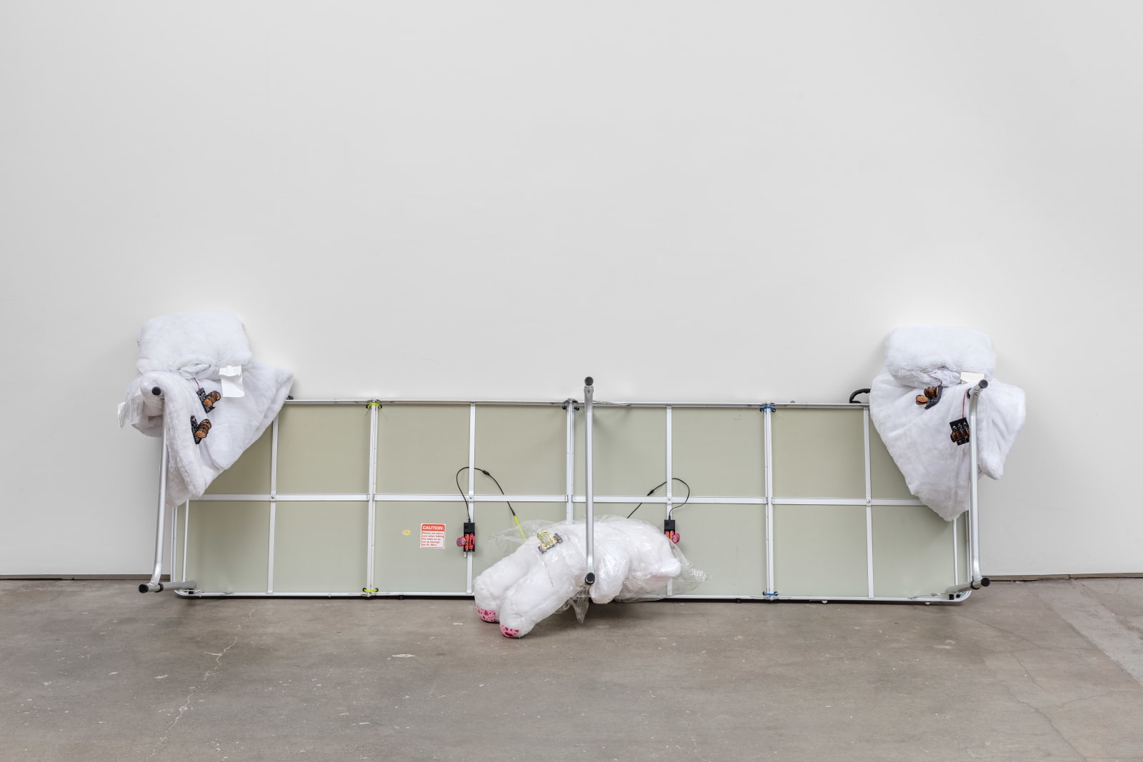 Chadwick Rantanen, Auto Color Rotation (Monarch/Fly), 2016