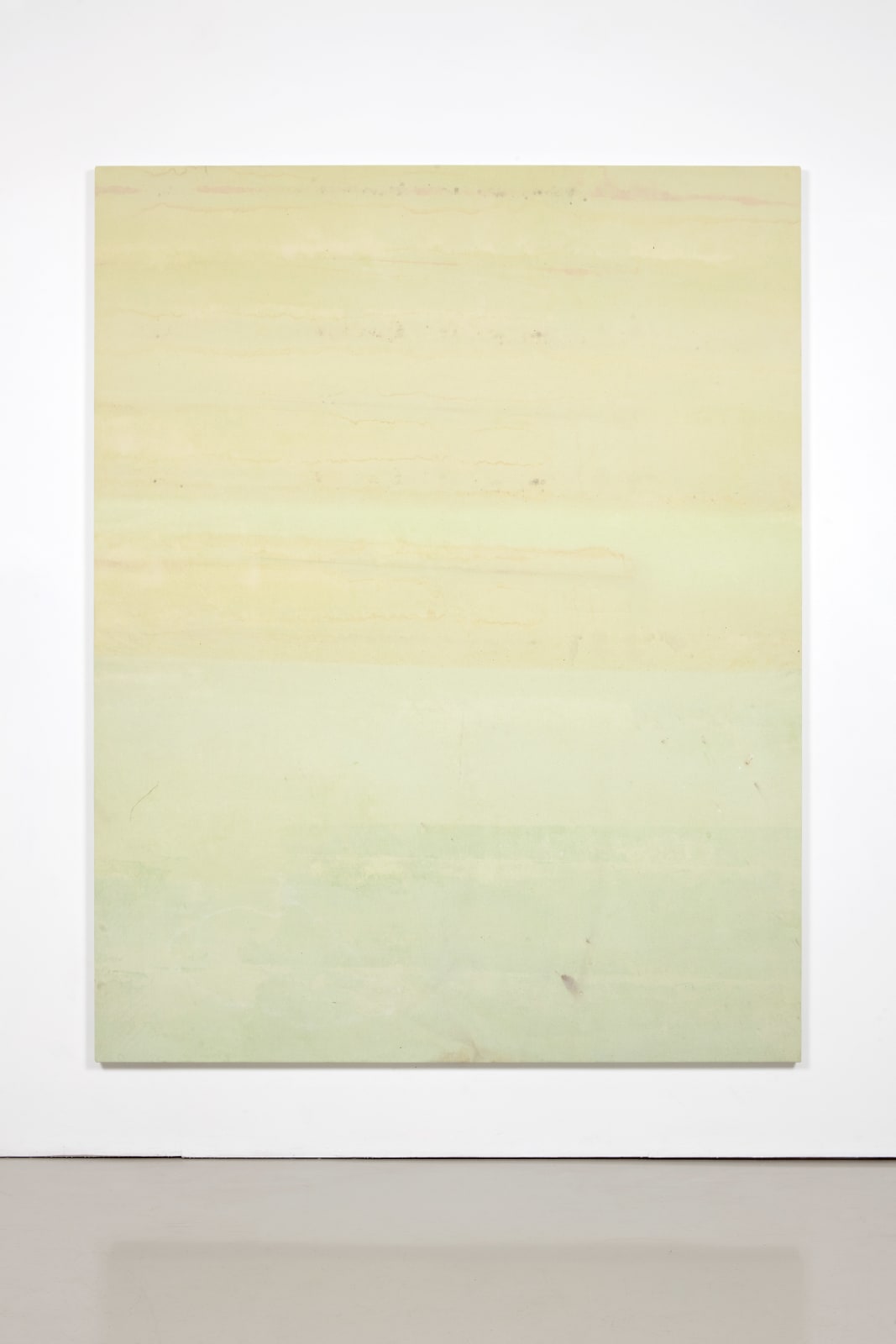 Fredrik Værslev, Untitled (Canopy Painting: Lime Green Monochrome), 2012