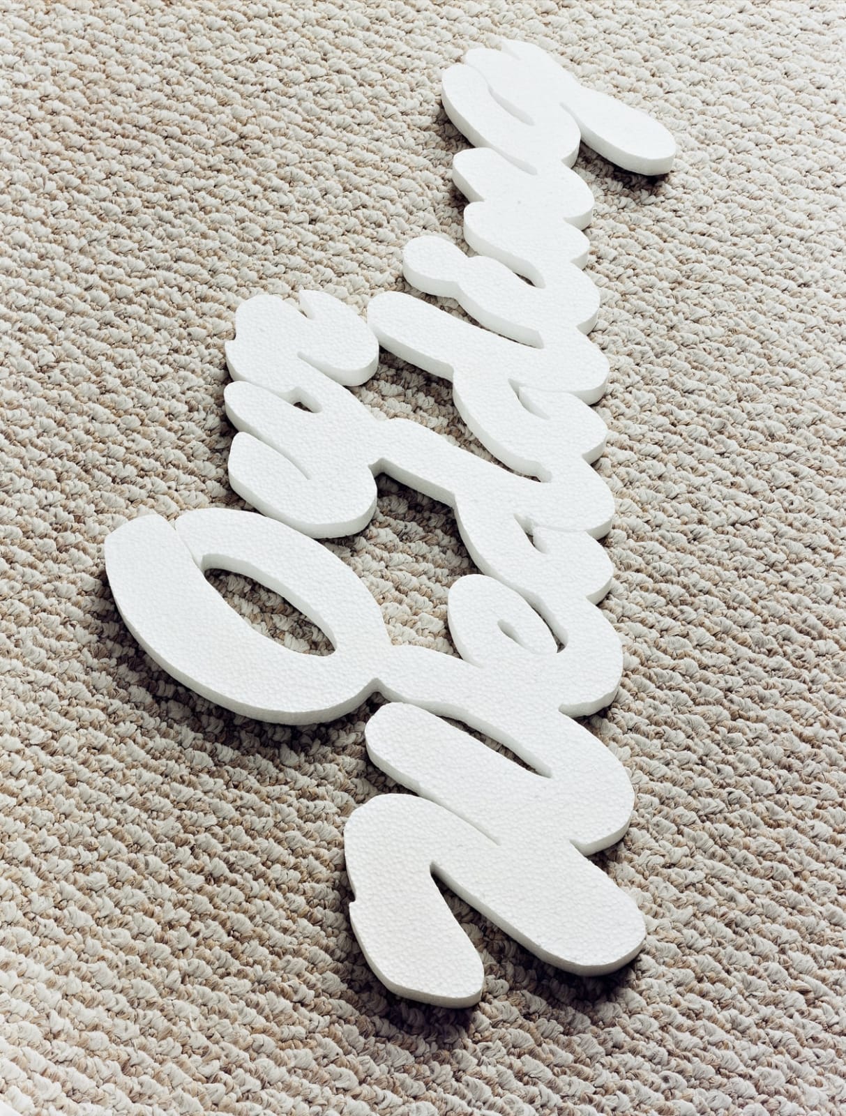 Torbjørn Rødland, The Coming Together of Opposites, 2006-2007