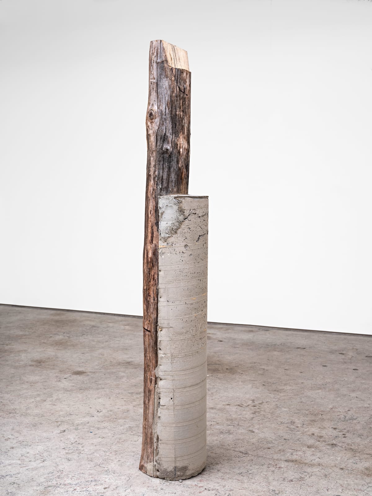 Oscar Tuazon, Family Tree (Bill / Paul), 2019