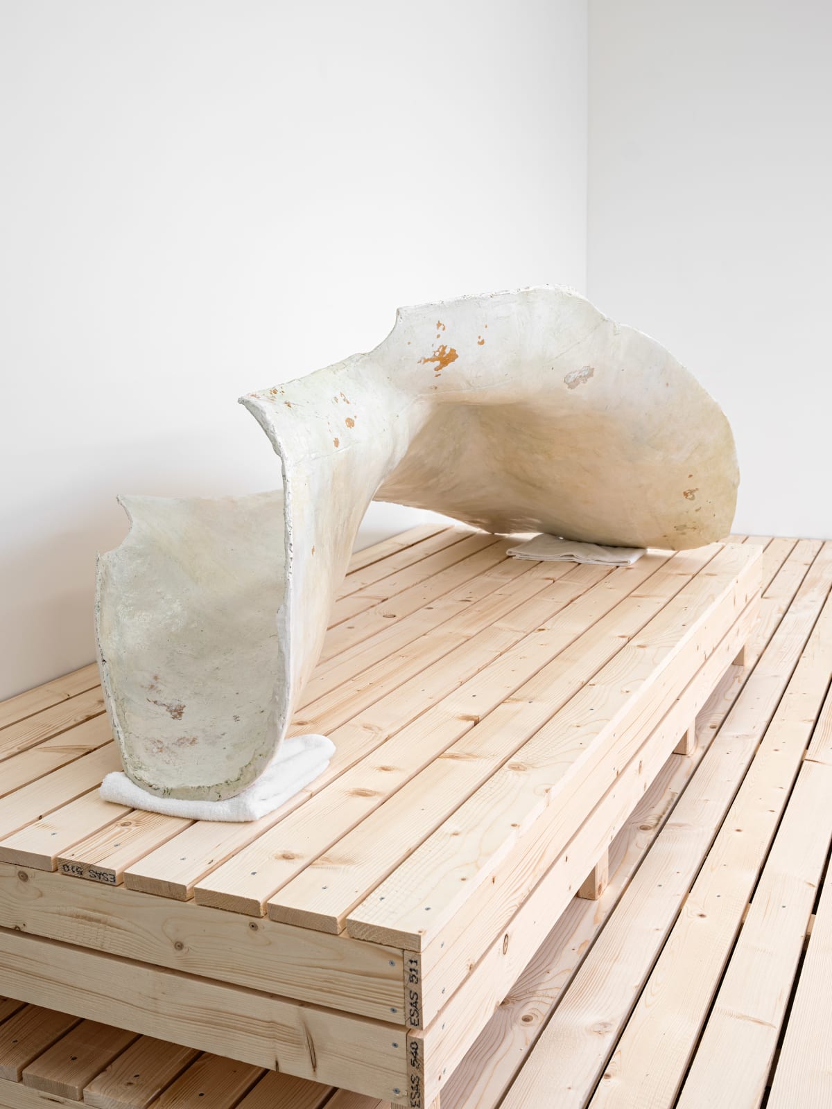 Jumana Manna, Armpit shell, 2018