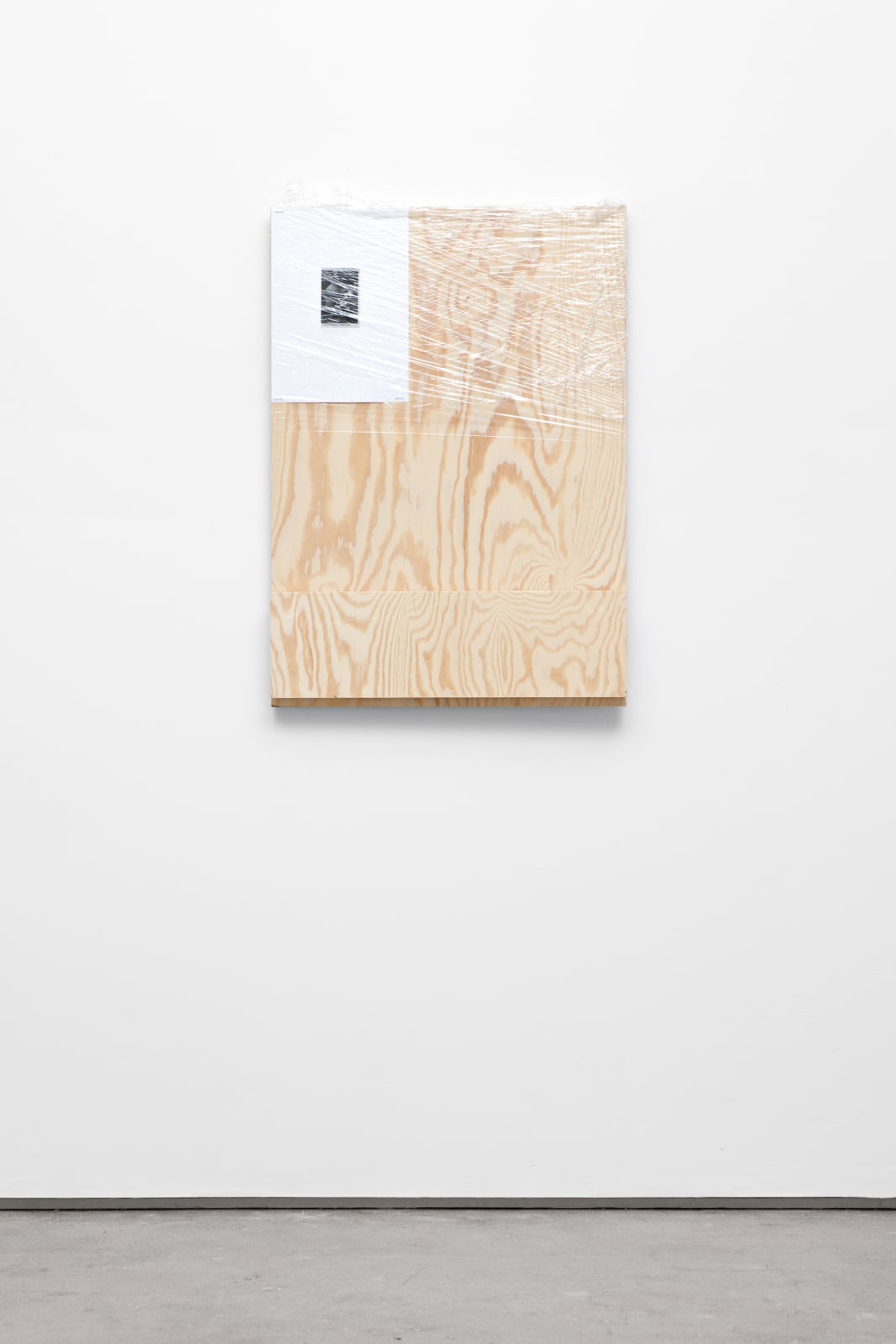 Matias Faldbakken and Fredrik Værslev, Shelf Paintings (Printing Money) #05, 2012
