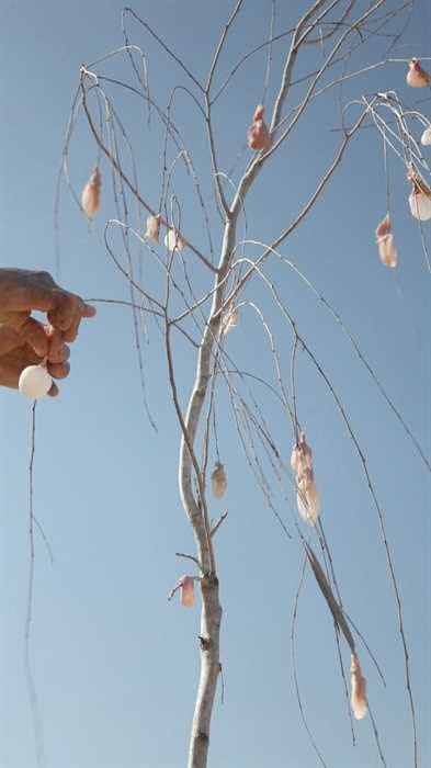 Sharon Glazberg, Air, 2010