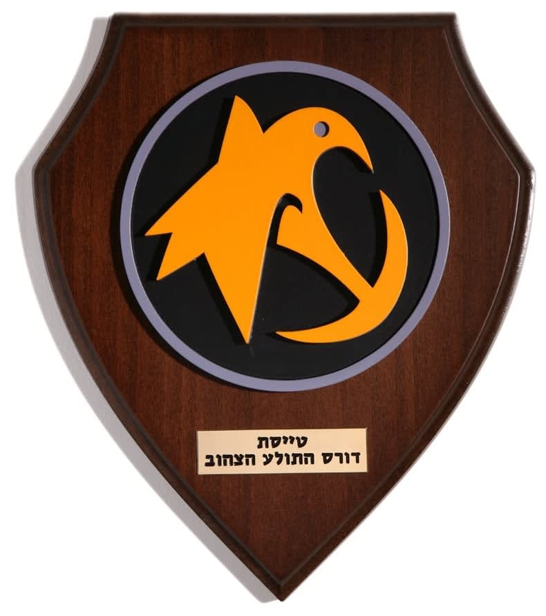 Ido Michaeli, Yellow Star Raptor Squadron, 2008