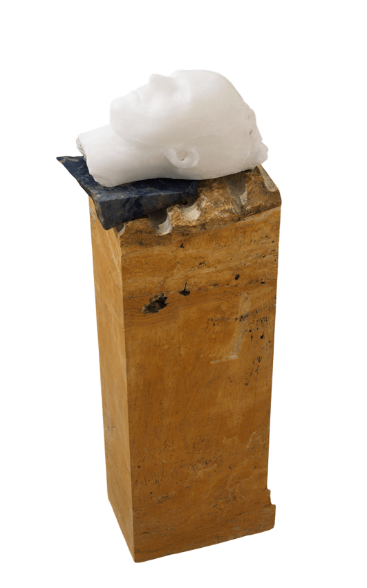 Vanessa Beecroft, Untitled, 2010 (head), 2010