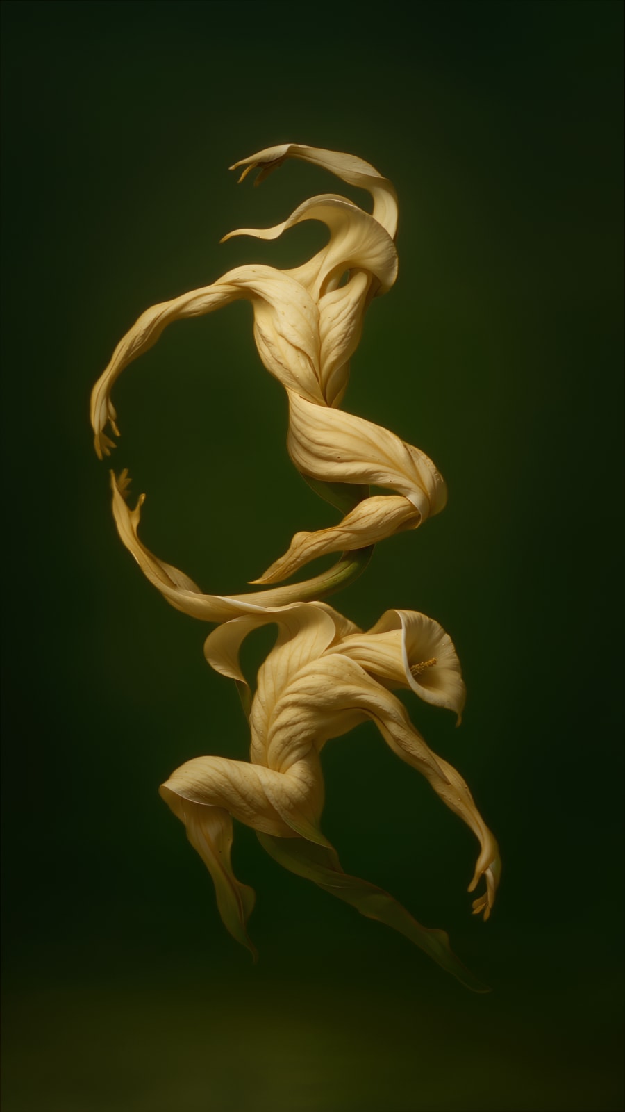 Roy Adin, Growth Cycles, 2025