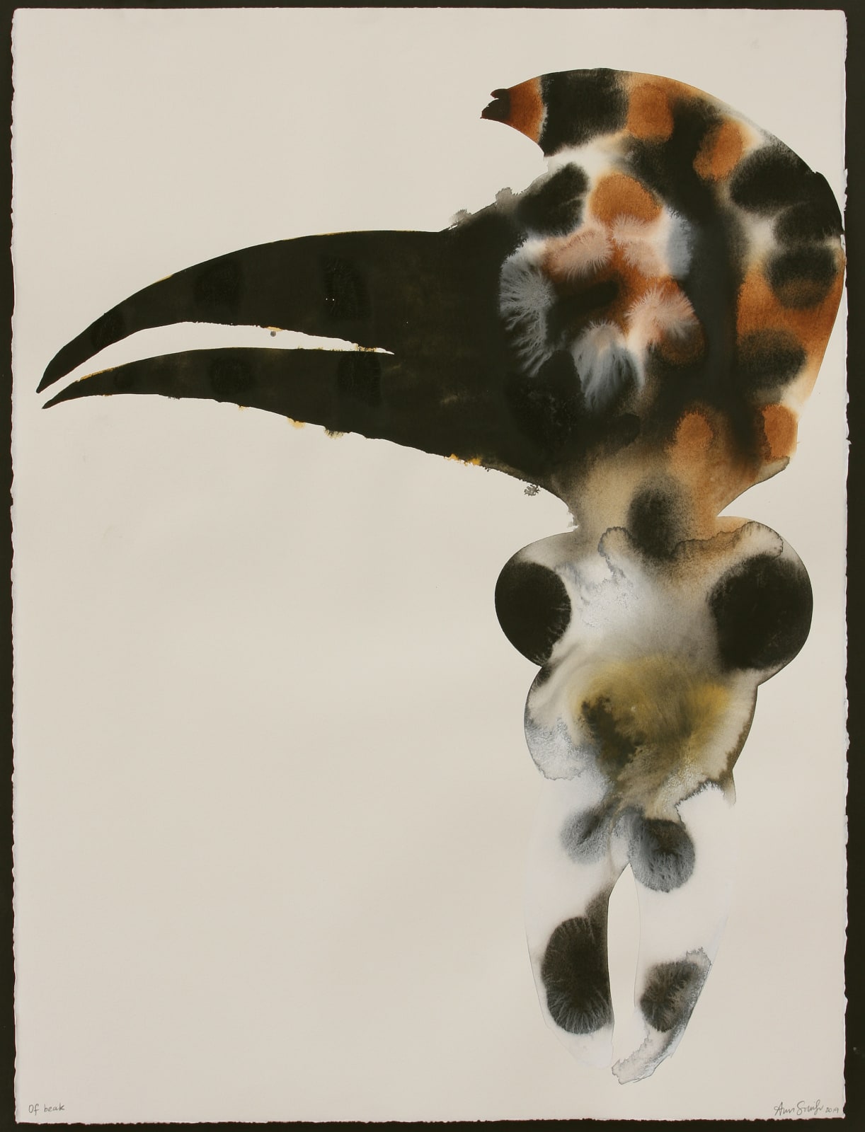 Ann Gollifer, Of Beak, 2019